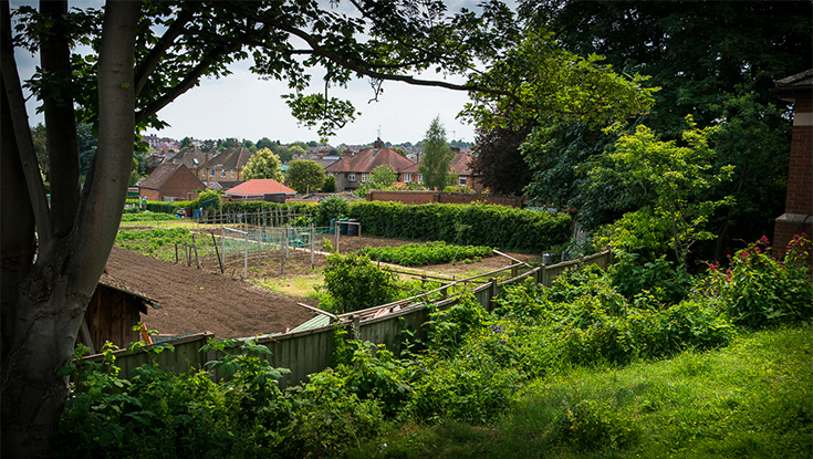 Cedar Court