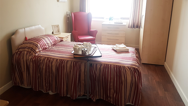 Dingle Meadow 