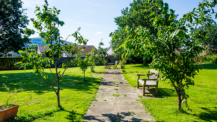Moss Park 