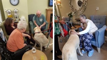 Charlie the Labrador makes a ‘pawsome’ visit to Stockport care home