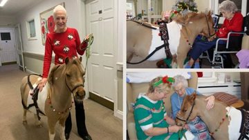 Penrith care home Residents enjoy festive visit from therapy pony