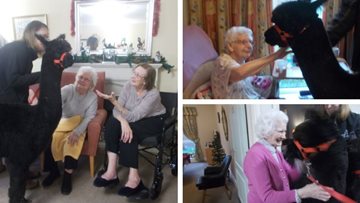 Alpacas visit Consett care home
