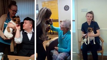 Stafford care home welcomes furry friend for ‘love your pet day’