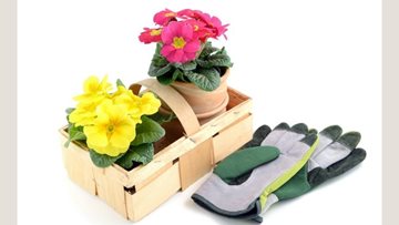 Gardening fun for Burntwood care home Resident