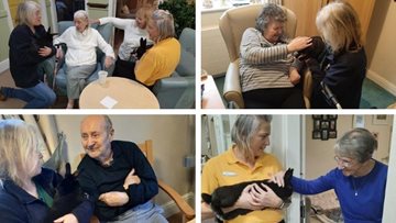 Hull care home makes new furry friends for animal therapy