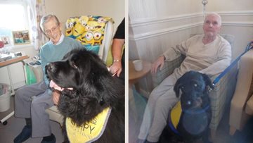 Therapy dogs delight at Durham care home