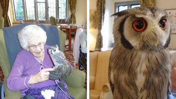 Residents have a hoot at Tetbury care home