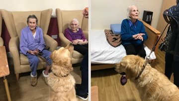 Therapy dog delights at Hornchurch care home