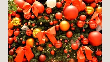 Benfleet care home looks back on Christmas period