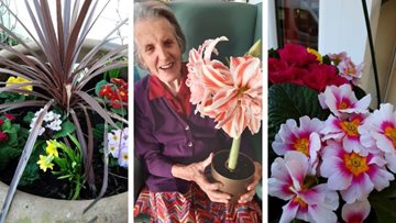 Residents enjoy February blossoms at Chippenham care home